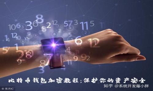 比特幣錢包加密教程：保護(hù)你的資產(chǎn)安全