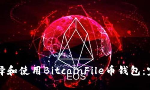 如何選擇和使用BitcoinFile幣錢(qián)包：完整指南