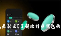 比特幣錢(qián)包是什么？了解