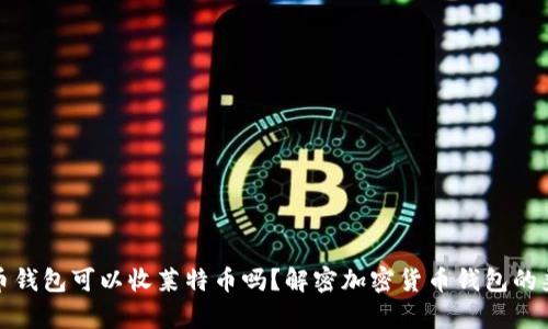 比特幣錢包可以收萊特幣嗎？解密加密貨幣錢包的兼容性