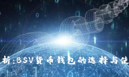 全面解析：BSV貨幣錢包的選擇與使用指南