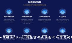 如何解決Bitcoin錢(qián)包密碼無(wú)