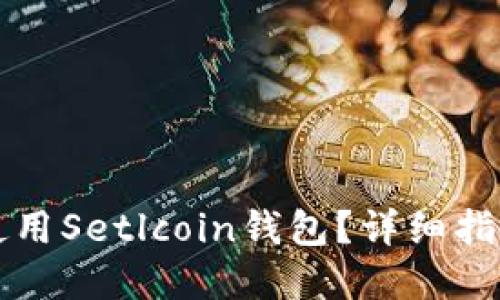 如何選擇并使用Setlcoin錢包？詳細指南與最佳實踐