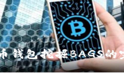 了解貨幣錢包挖掘BAGS的完整指南