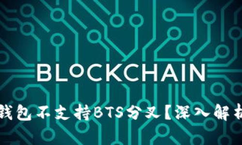 為什么鼓鼓錢包不支持BTS分叉？深入解析及解決方案